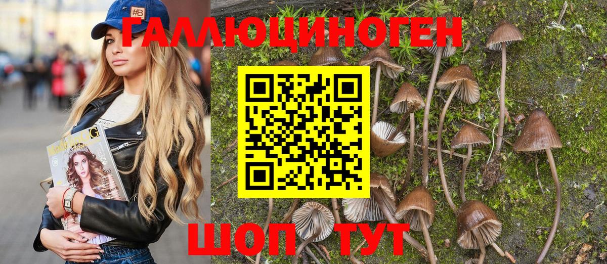 Мефедрон кристаллы  Меф  Топки  Вход с VPN  Гашиш  КОКАИН 